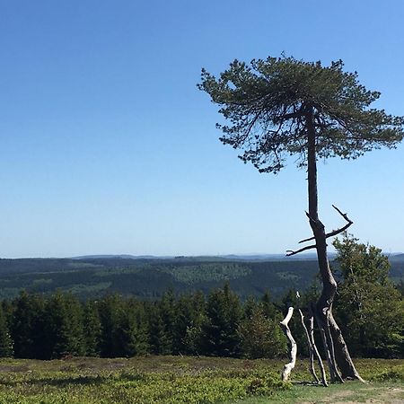 Berg- Und Seeblick Winterberg Luaran gambar