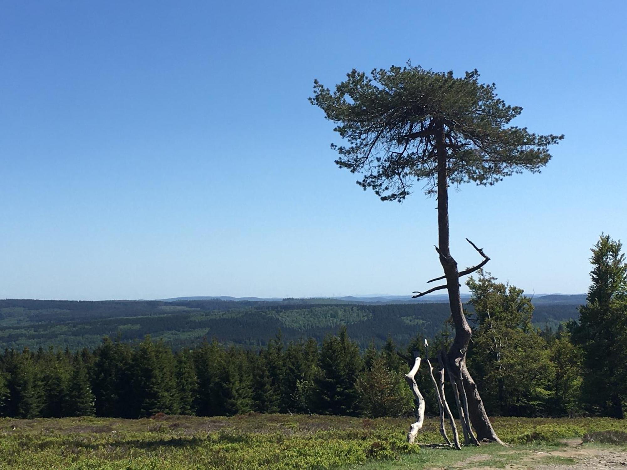 Berg- Und Seeblick Winterberg Luaran gambar