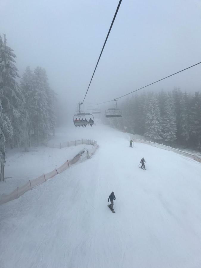 Berg- Und Seeblick Winterberg Luaran gambar